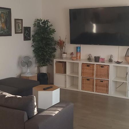 Beau Appartement T3 Montpellier Cameră foto